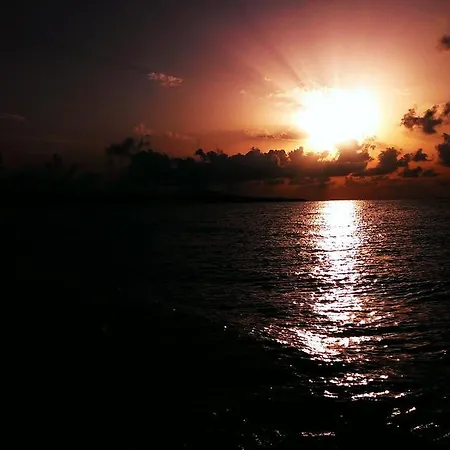 C32 In Dream Complex Rawda