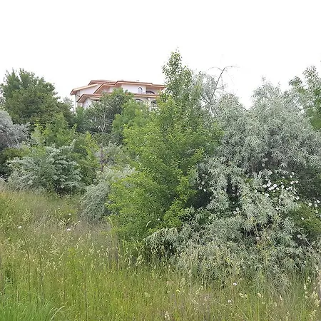 Studio In Dream Holiday Complex